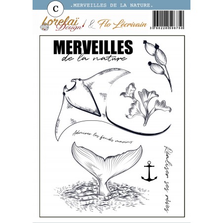 Planche Merveilles de la nature - Entre terre et mer