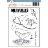 Planche Merveilles de la nature - Entre terre et mer