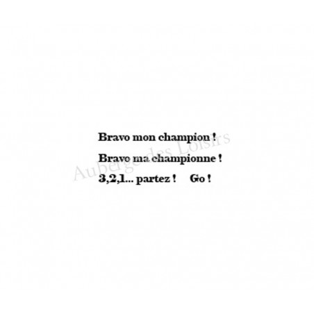 Champion / championne